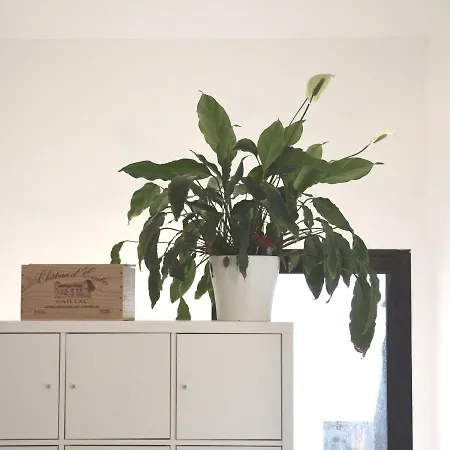 Plaisance - Nantes - Parking Gratuit Apartment *